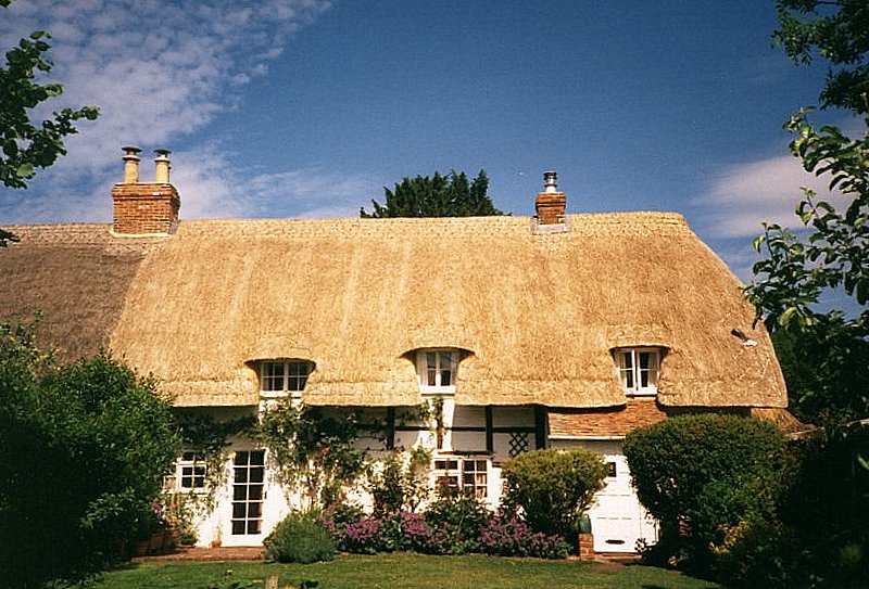 thatch110