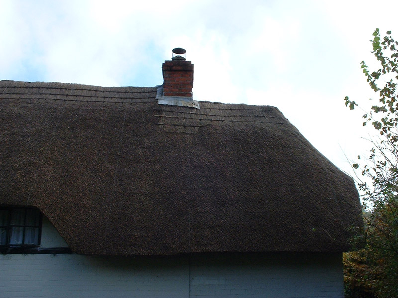 2005-04-02-suffolk-thatch-Summer 003